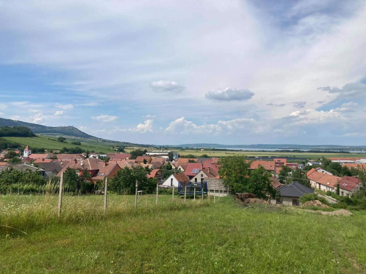 Prazdninovy Dum Na Palave S Vinnym Sklepem Milovice  Kültér fotó