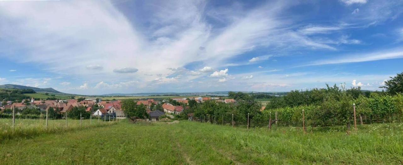 Prazdninovy Dum Na Palave S Vinnym Sklepem Milovice  Kültér fotó